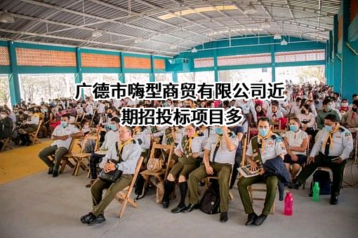 广德市嗨型商贸有限公司近期招投标项目多