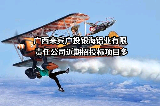 广西来宾广投银海铝业有限责任公司