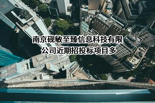 南京砚敏至臻信息科技有限公司近期招投标项目多