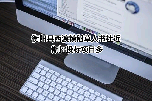 衡阳县西渡镇稻草人书社