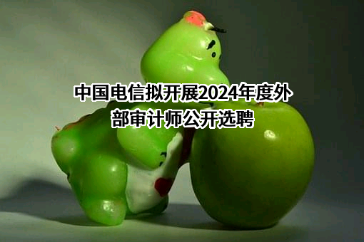 中国电信拟开展2024年度外部审计师公开选聘