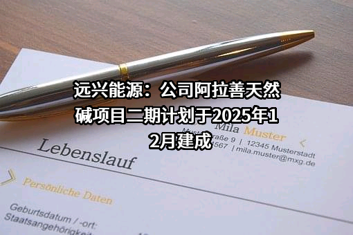 内蒙古远兴能源股份有限公司