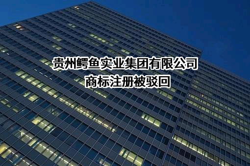 贵州鳄鱼实业集团有限公司商标注册被驳回