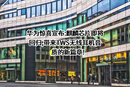 华为技术有限公司