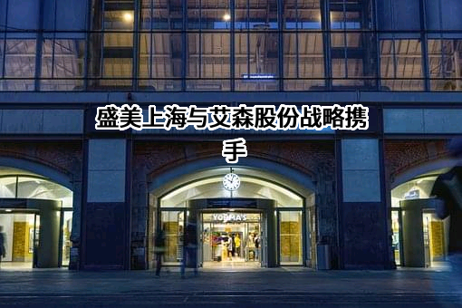 盛美半导体设备（上海）股份有限公司