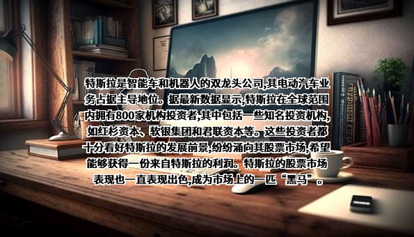 特斯拉（上海）有限公司