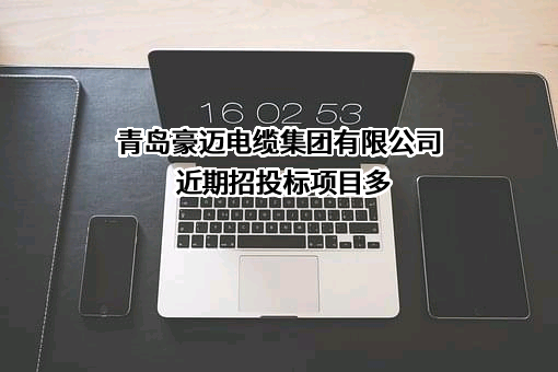 青岛豪迈电缆集团有限公司