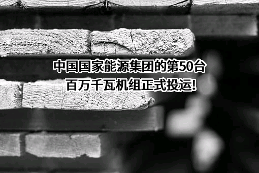 国家能源投资集团有限责任公司