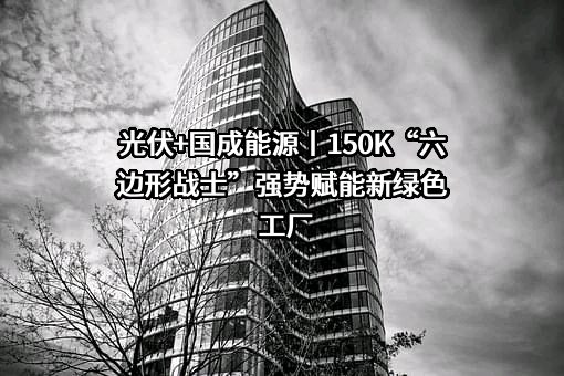 国成能源建设集团股份有限公司