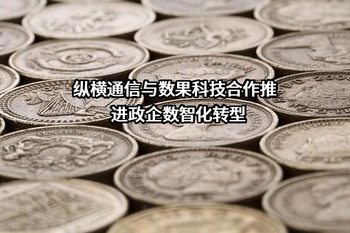 上海数果科技有限公司