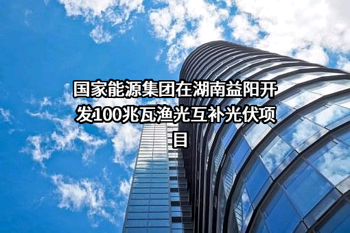 国家能源投资集团有限责任公司