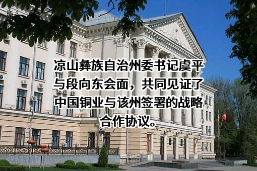 中国铜业有限公司