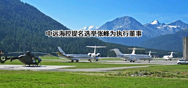 中远海运港口有限公司