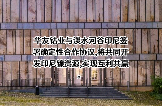 淡水河谷公司