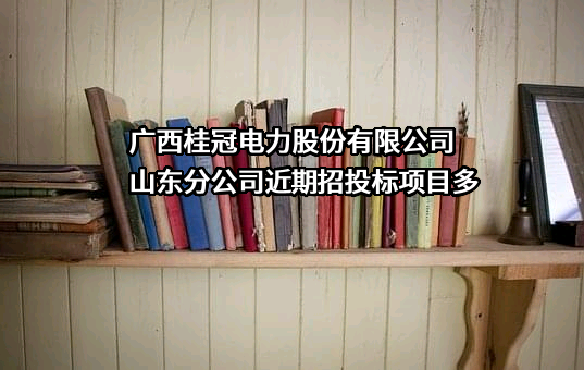 广西桂冠电力股份有限公司山东分公司近期招投标项目多