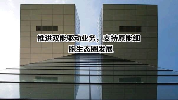 开能健康科技集团股份有限公司