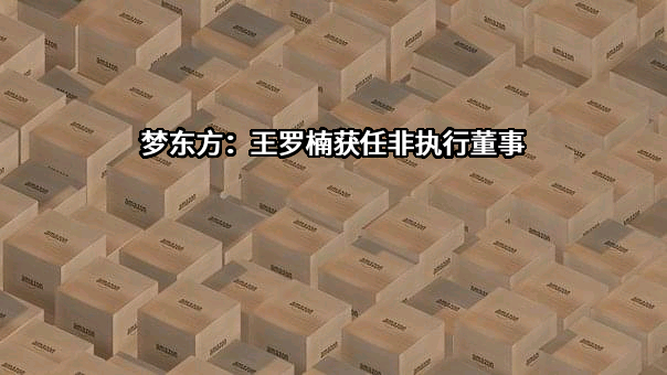 梦东方集团有限公司