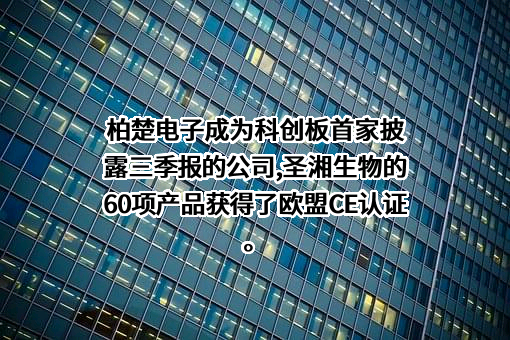 华为技术有限公司