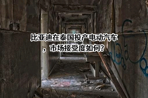 比亚迪股份有限公司
