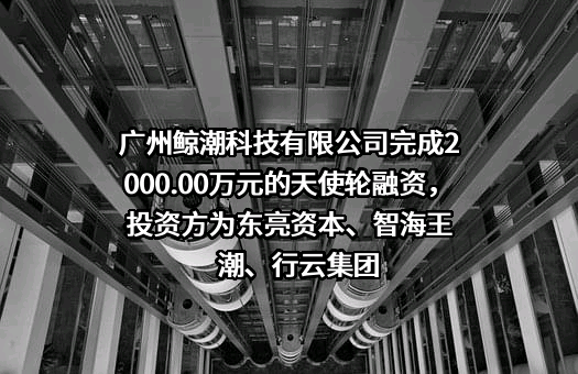 广州鲸潮科技有限公司
