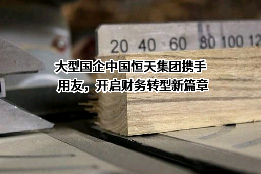 中国恒天集团有限公司