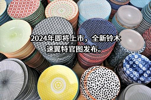 铃木（中国）投资有限公司