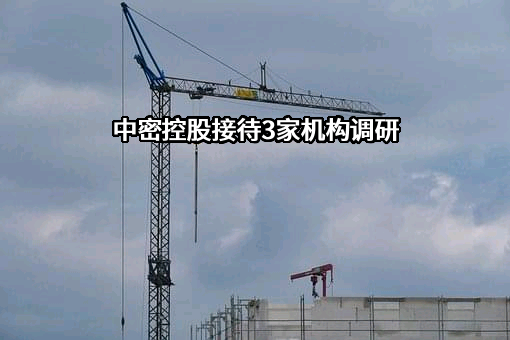 中密控股股份有限公司