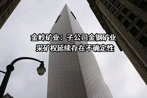 山东金岭矿业股份有限公司