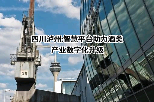四川泸州港务有限责任公司