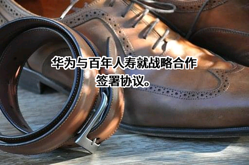 华为技术有限公司