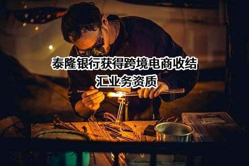 浙江泰隆商业银行股份有限公司