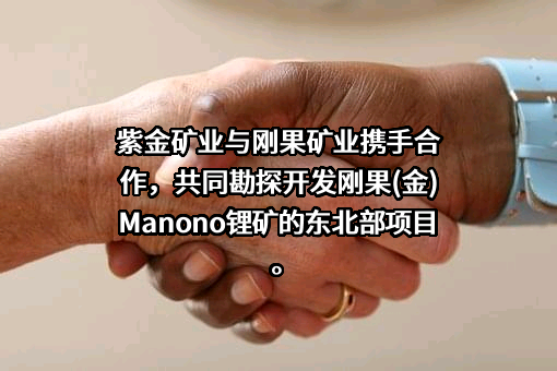 紫金矿业集团股份有限公司