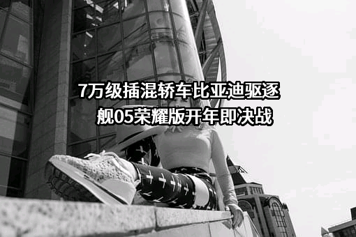 比亚迪股份有限公司