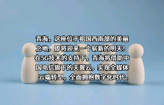 中国电信集团有限公司