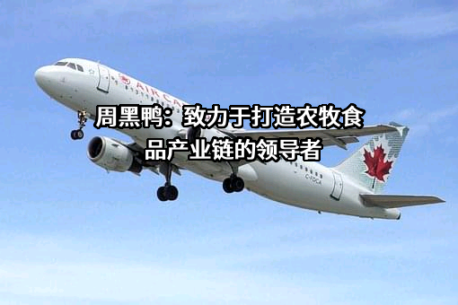 周黑鸭国际控股有限公司