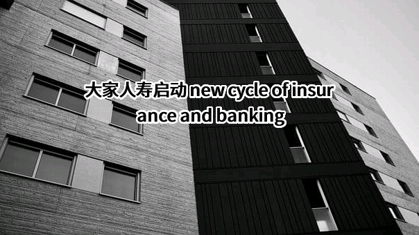 大家养老保险股份有限公司