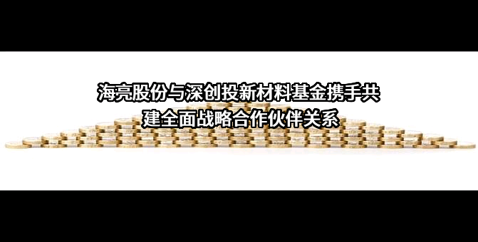 浙江海亮股份有限公司