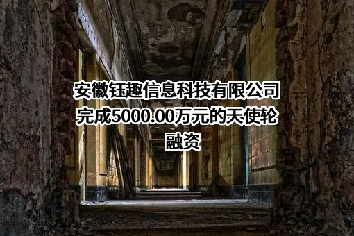 安徽钰趣信息科技有限公司