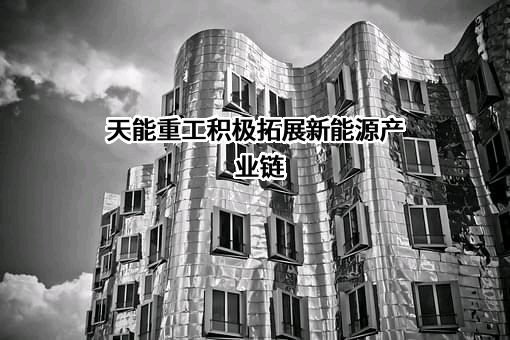 青岛天能重工股份有限公司
