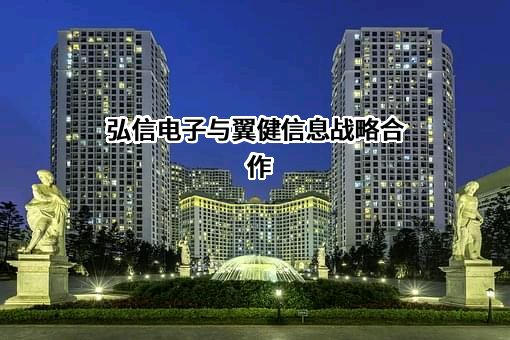 翼健（上海）信息科技有限公司