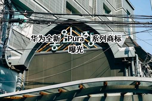 华为技术有限公司