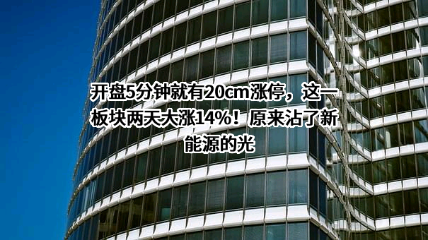 广东美联新材料股份有限公司