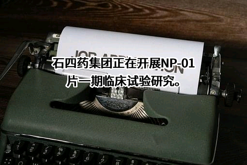 石四药集团有限公司
