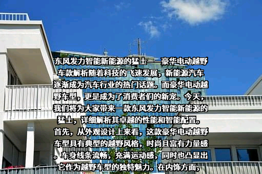 深圳东风汽车有限公司