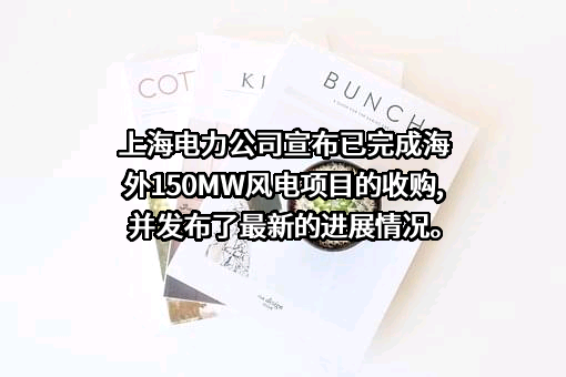 上海电力股份有限公司