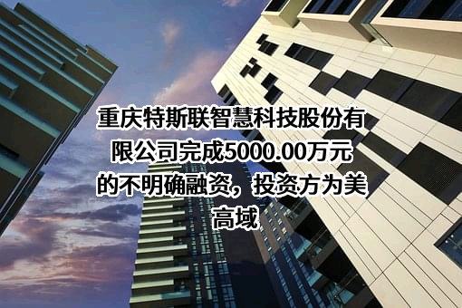 重庆特斯联智慧科技股份有限公司完成5000.00万元的不明确融资，投资方为美高域