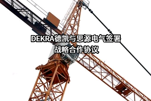 思源电气股份有限公司