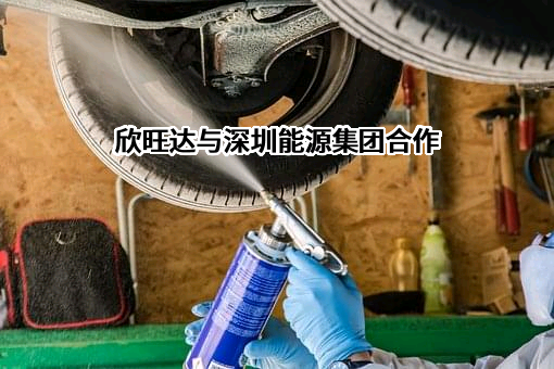 欣旺达电子股份有限公司