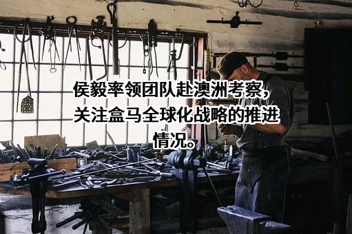 上海盒马网络科技有限公司