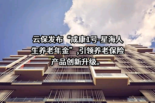 上海豹云网络信息服务有限公司